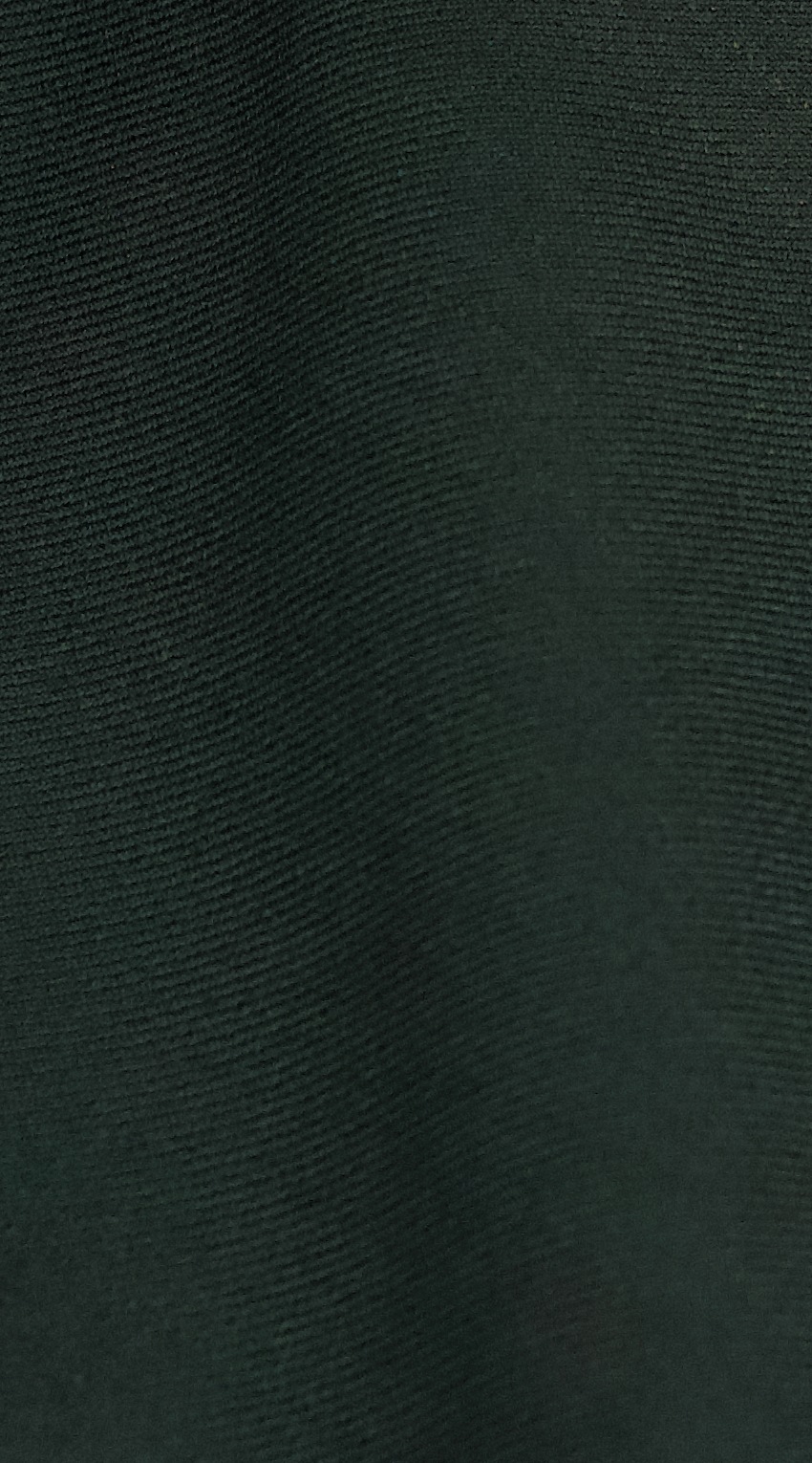 Avocado Green Suit