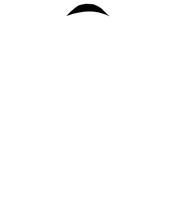Black Satin Img