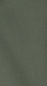 Sage Green Wool Suit