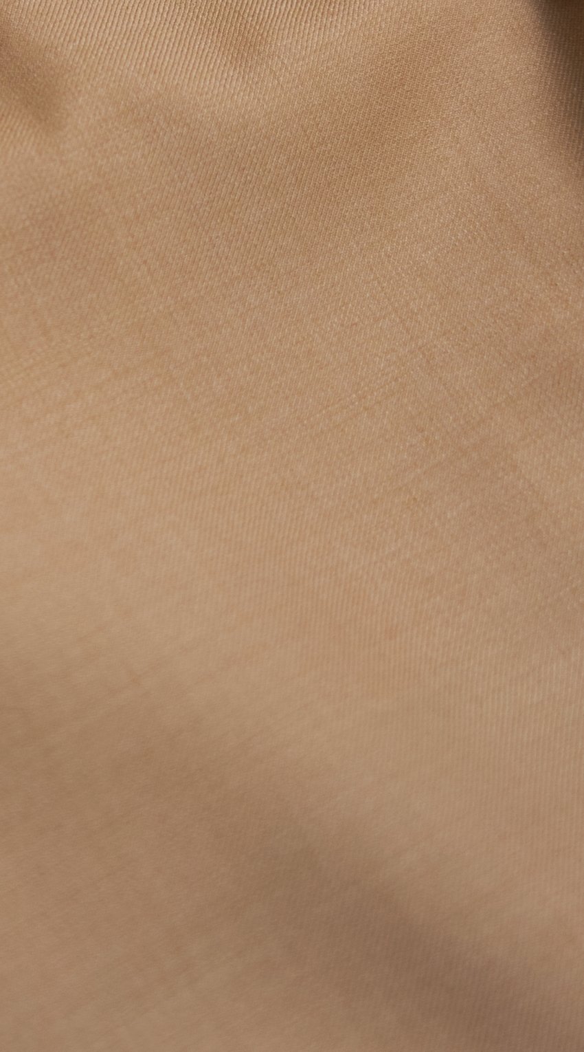 Camel Wool Suit Camel Wool Suit