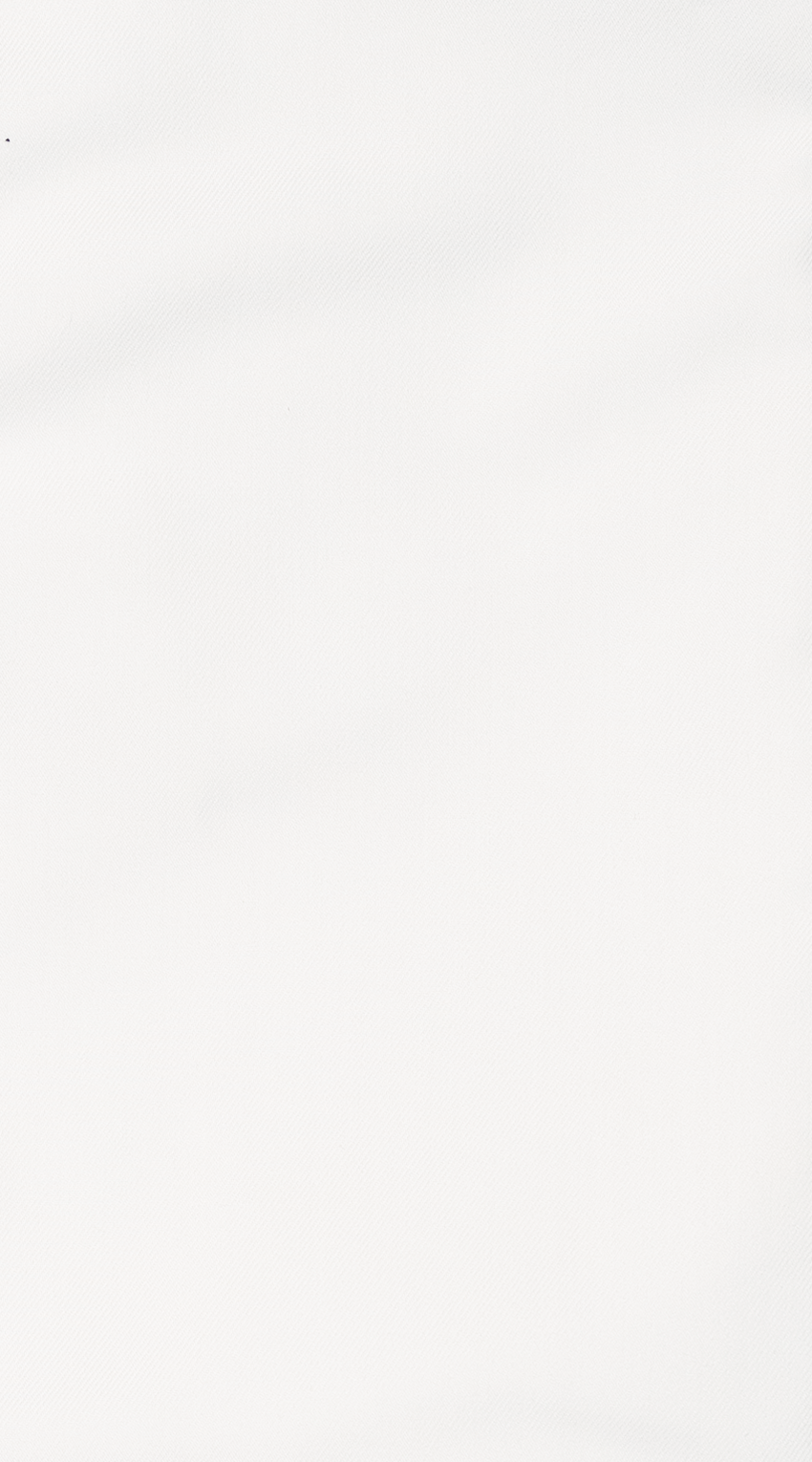 Chemise Habillée Blanche Pure