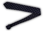 Blue with Dots Silk Tie