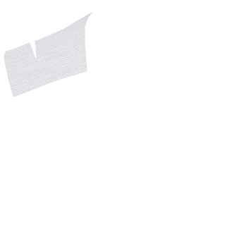 Half-Canvassed Construction