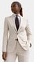Beige Royale Classic Suit