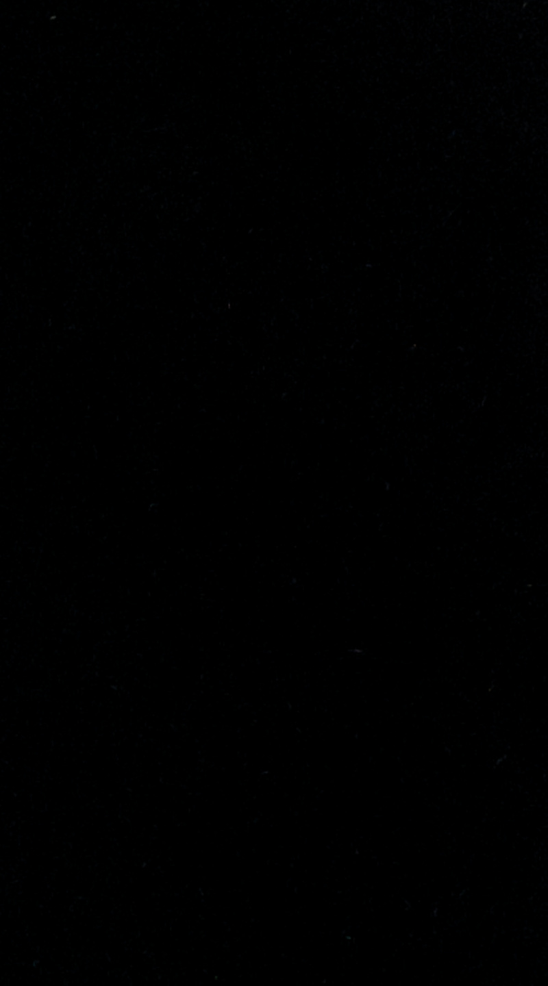 Midnight Velvet Black Tuxedo