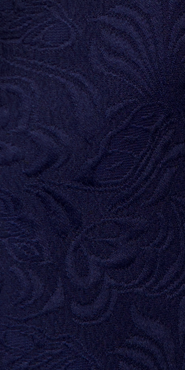 Blue Jacquard Tuxedo