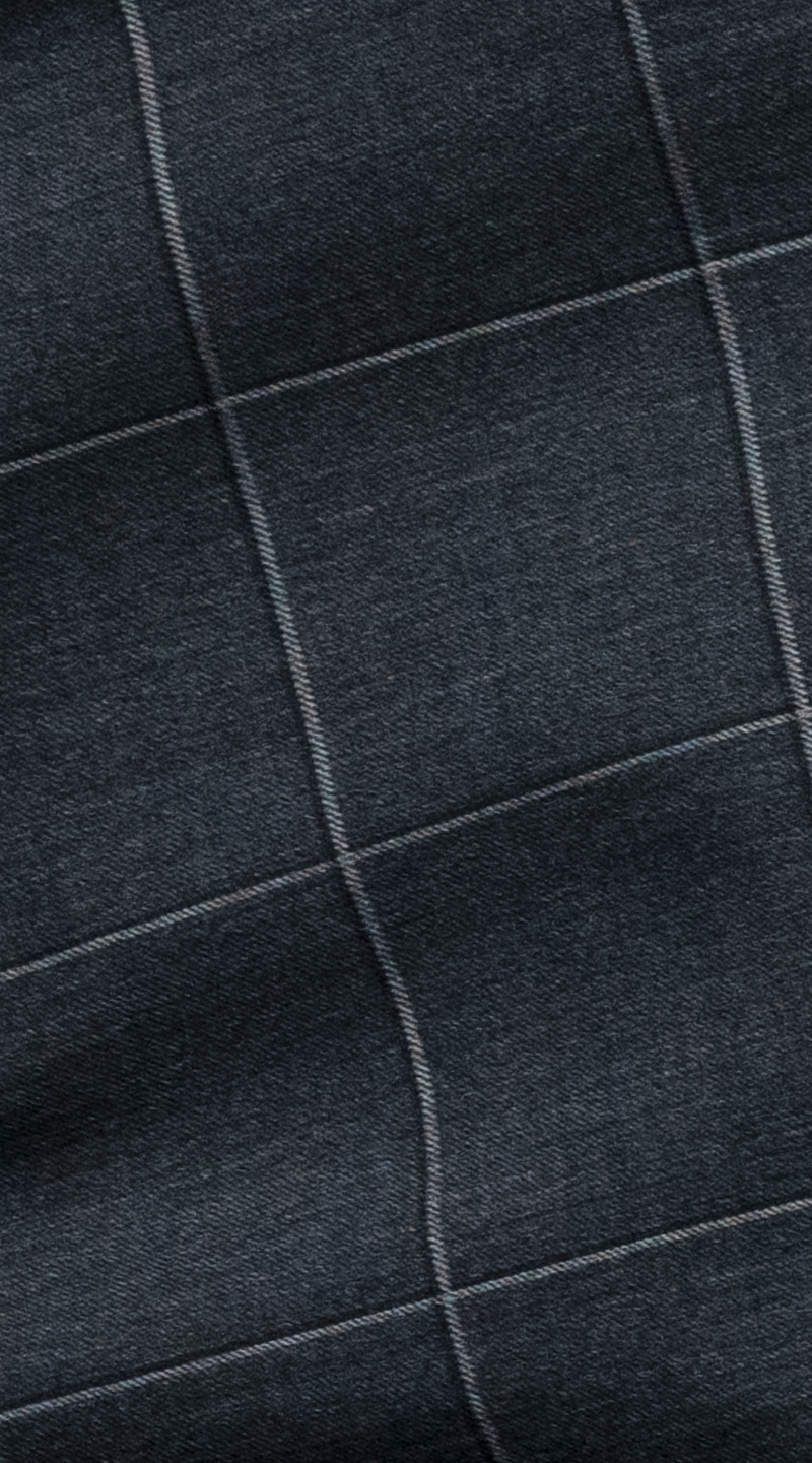 CharBlue Canvas Windowpane Suit