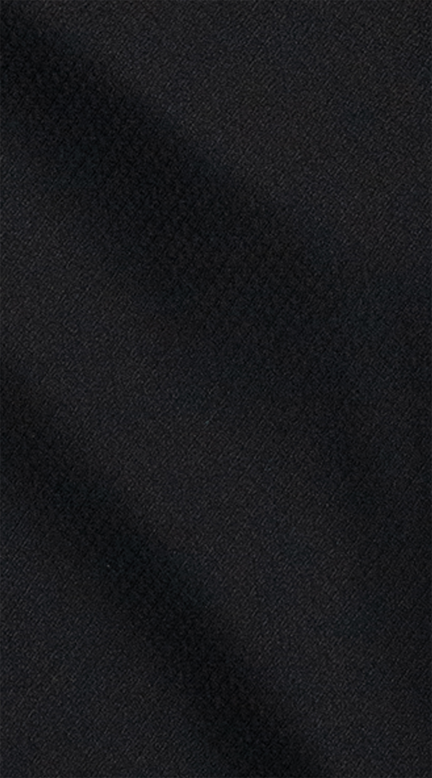 Owl Image