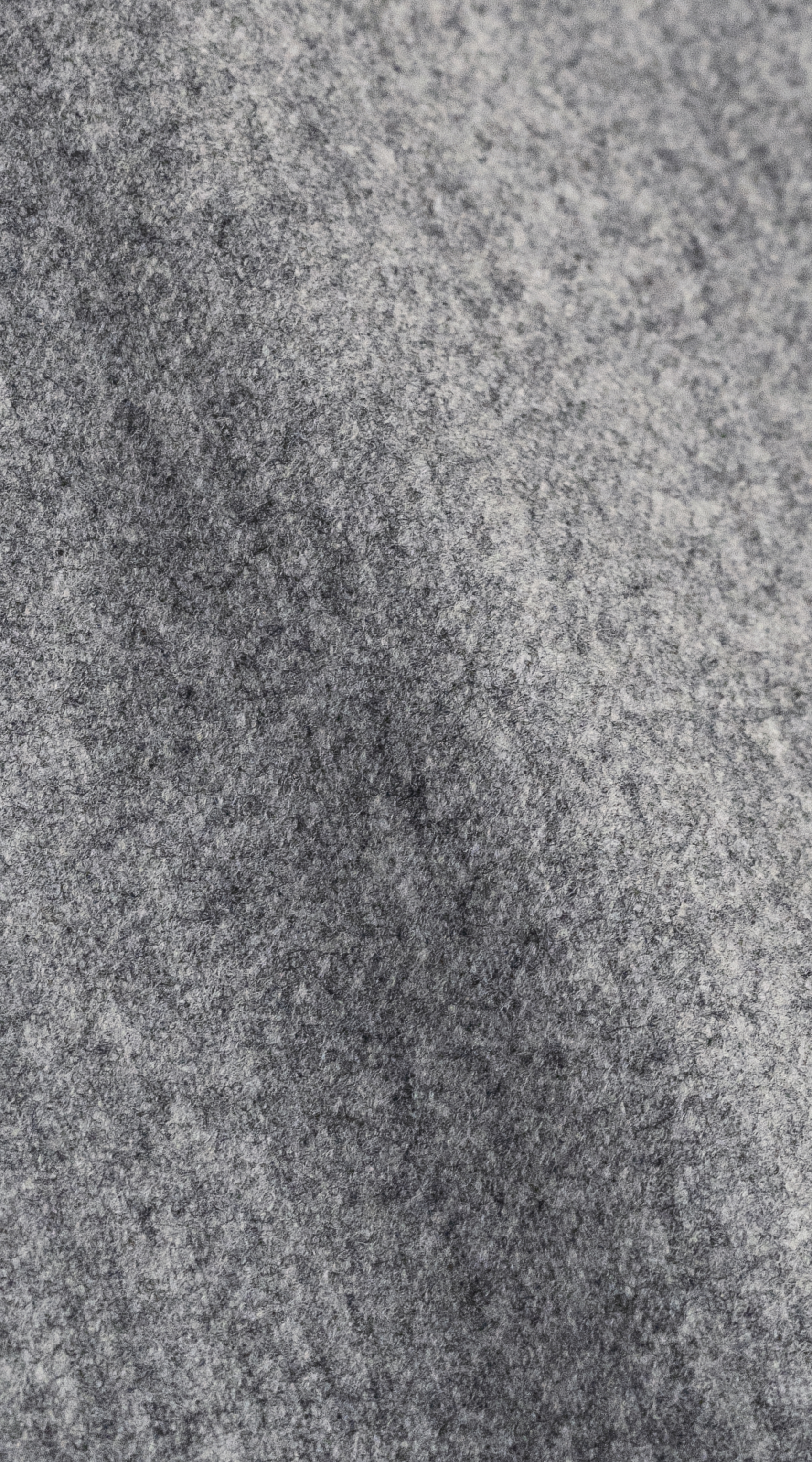 Owl Image