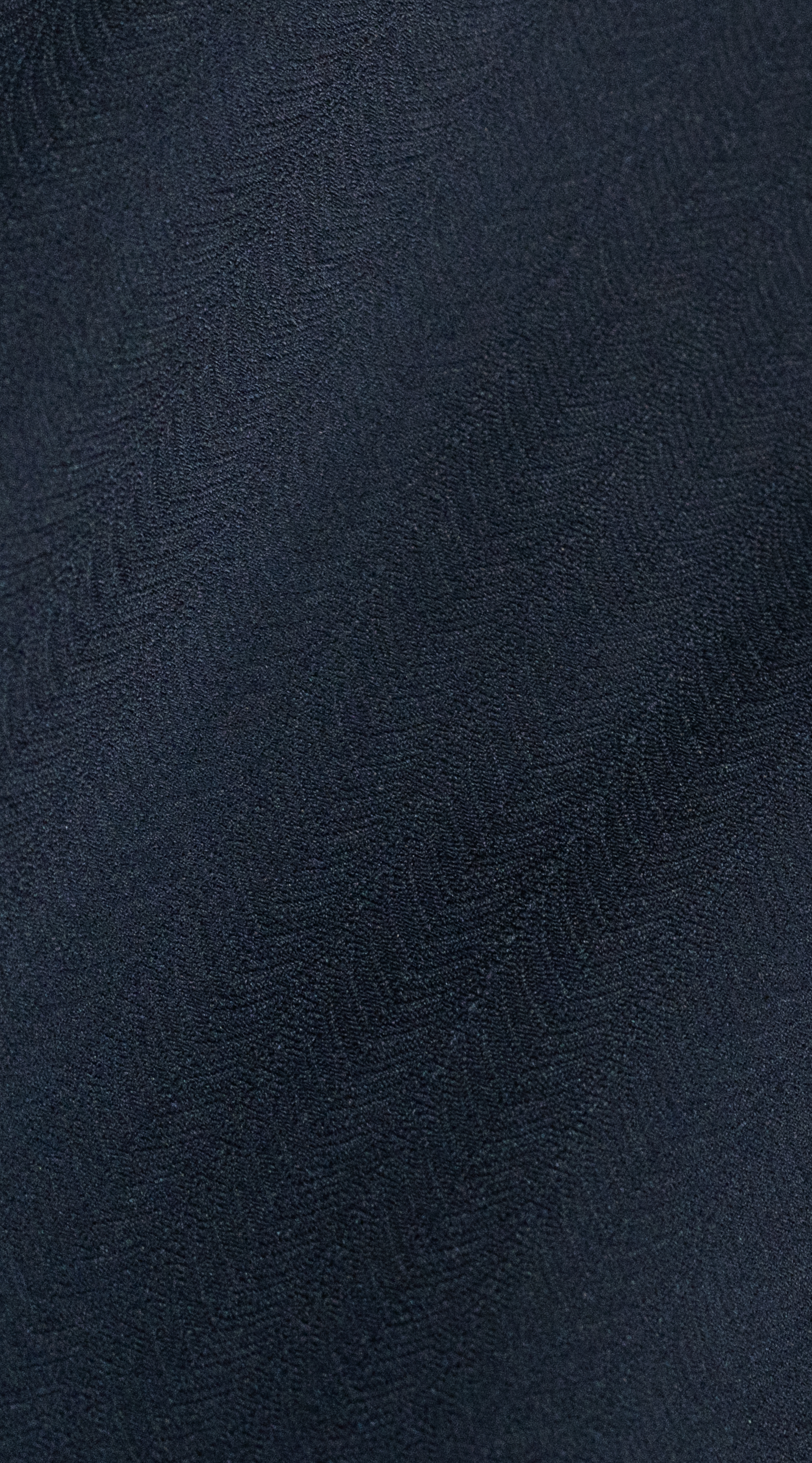 Owl Image