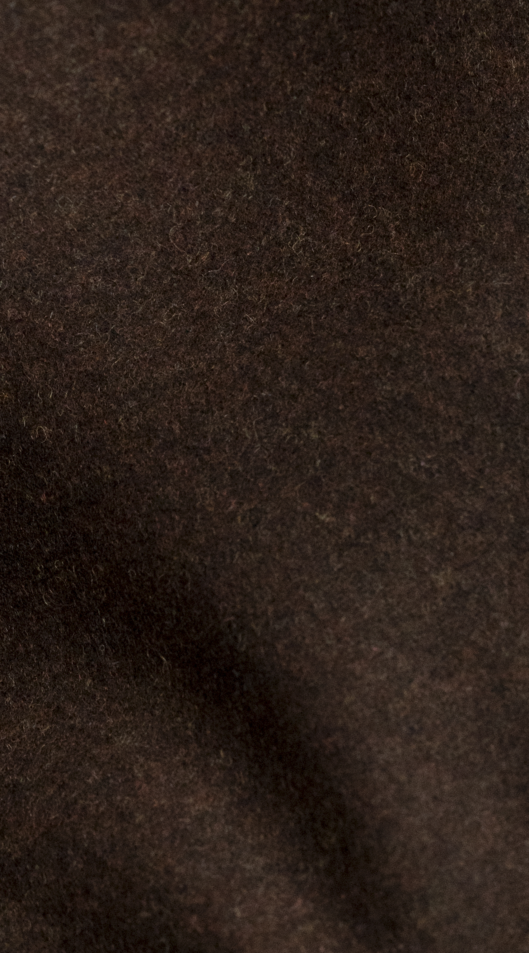 Owl Image
