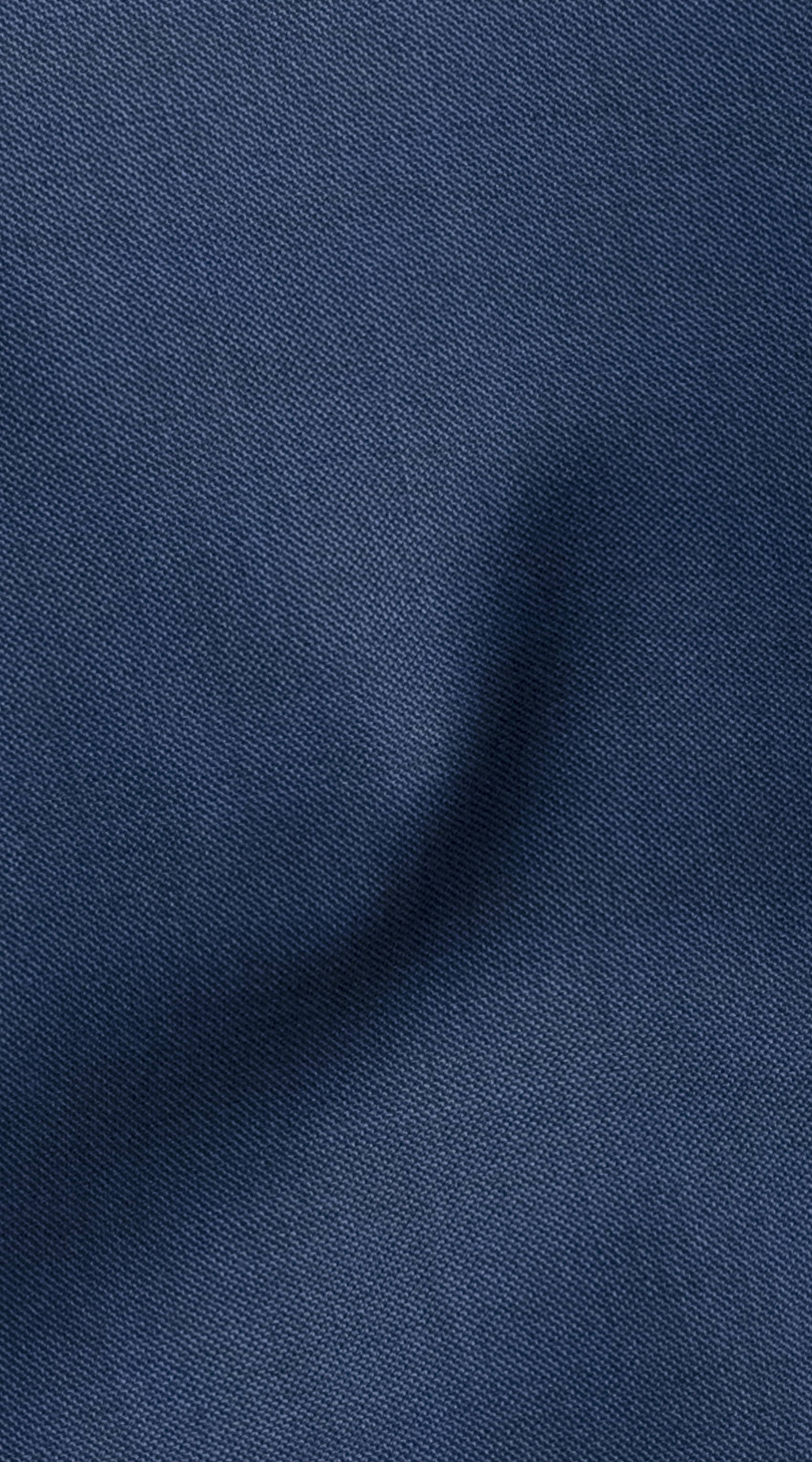 Owl Image