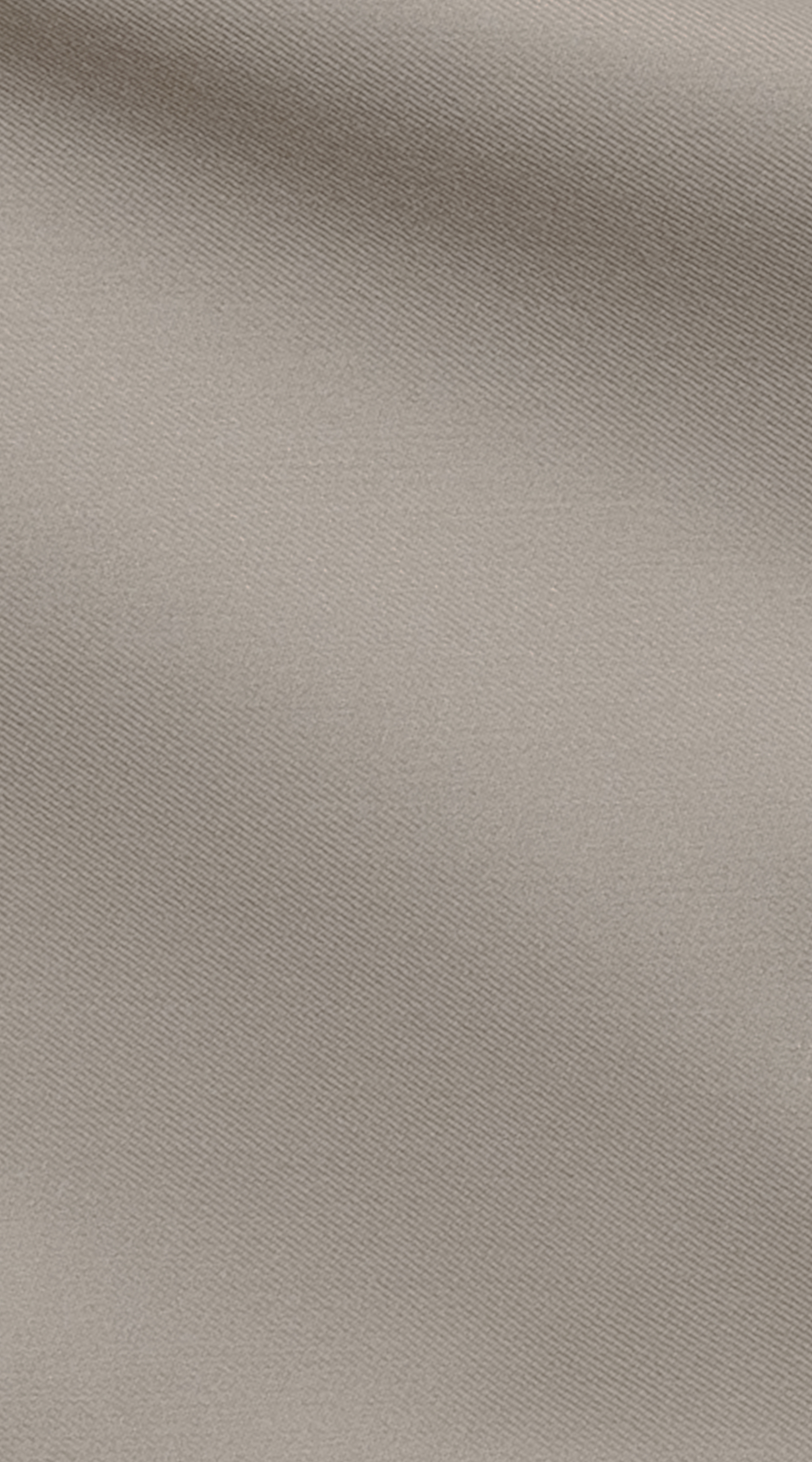 Owl Image