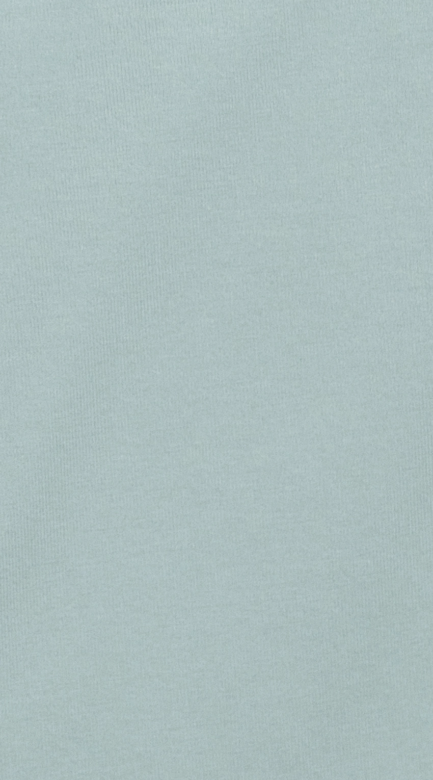 Chemise Habillée Menthe Givrée