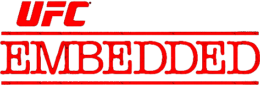 UFC 315 Embedded Logo