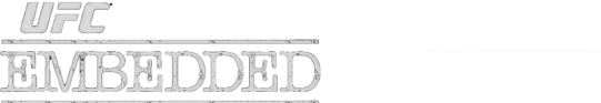 UFC 315 Embedded Logo