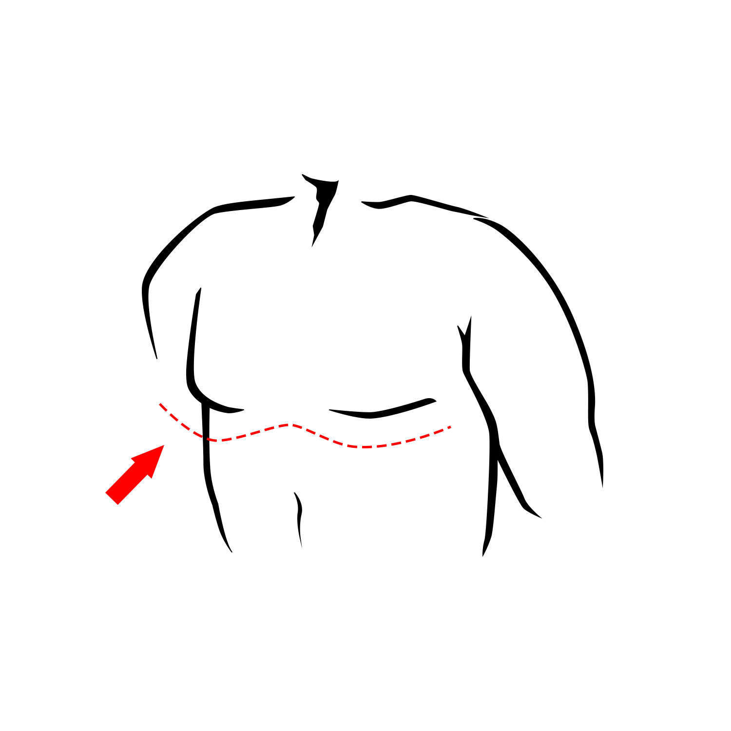 Chest