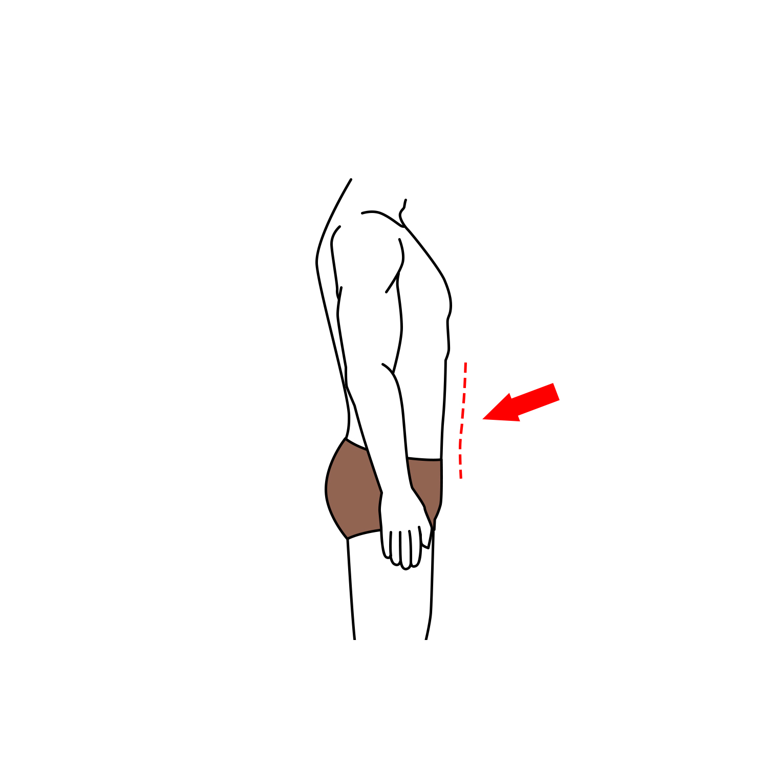 Stomach