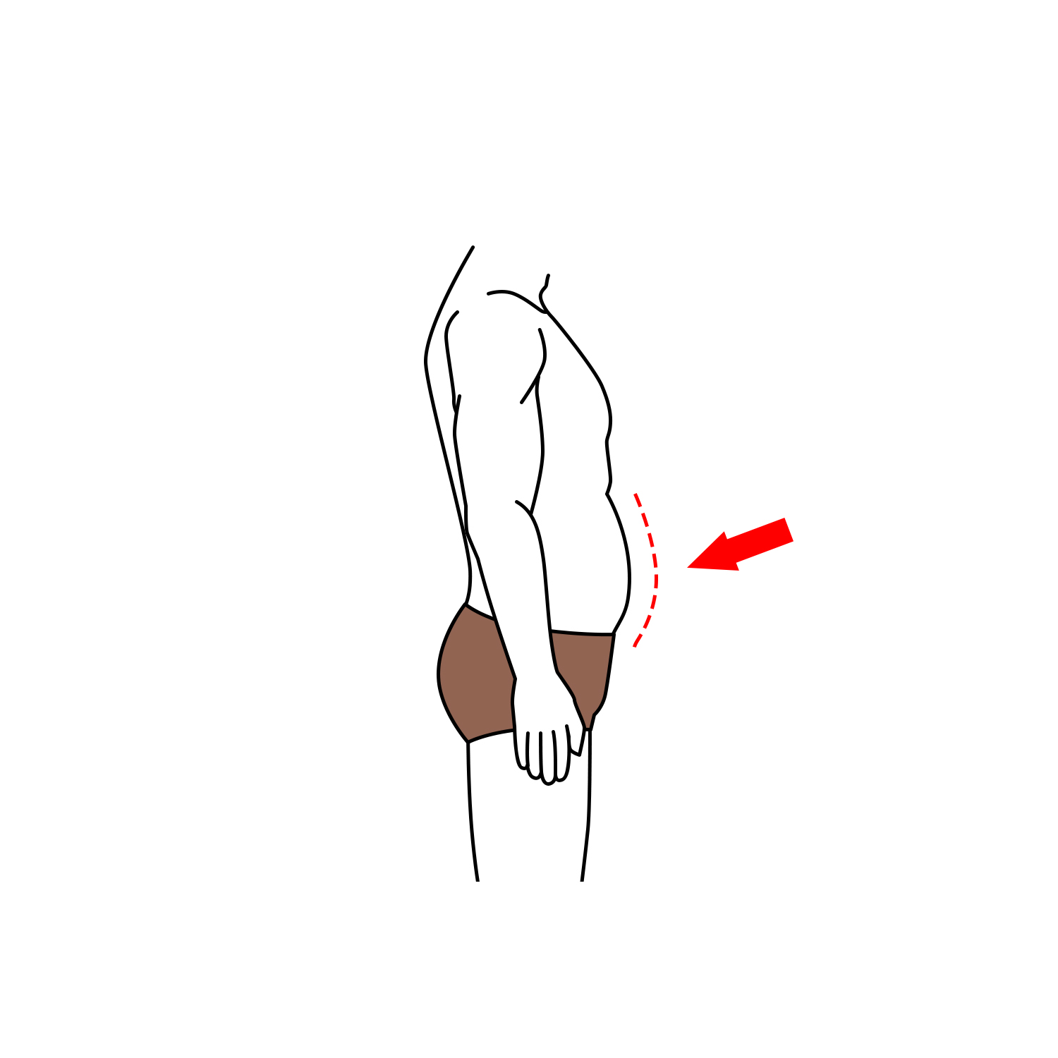 Stomach