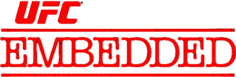 UFC 315 Embedded Logo